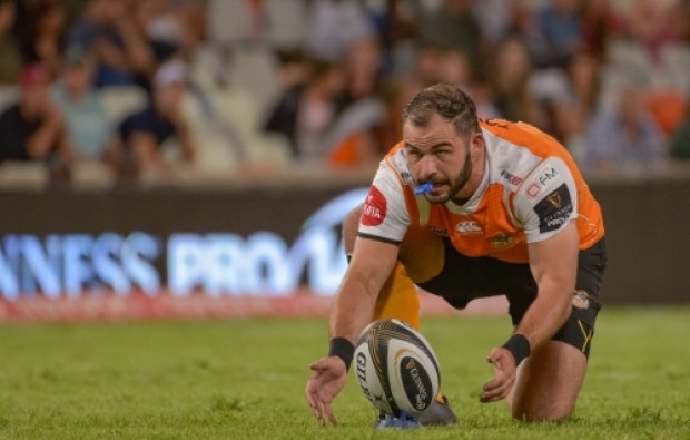 You are currently viewing Cheetahs break losing run
