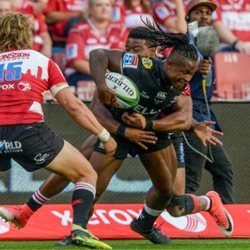 Nkosi, Mvovo start for Sharks