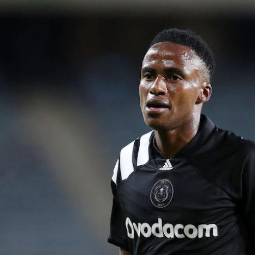 Sredojevic hopeful of Lorch recovery