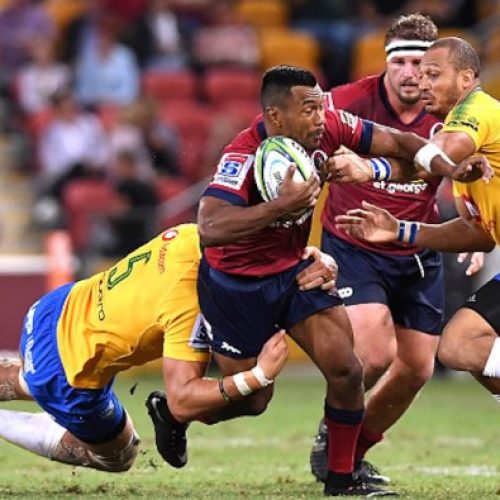 Reds down Bulls in Brisbane