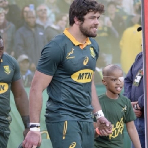 Whiteley must lead Springboks