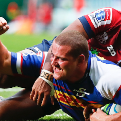 Stormers overpower Reds