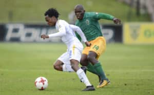 Read more about the article Preview: Sundowns vs Arrows