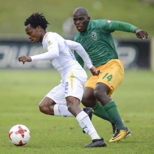 Preview: Sundowns vs Arrows