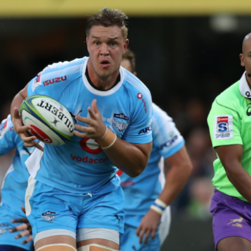 Bulls lose Liebenberg to injury