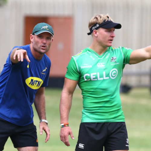 Franchises can help boost Springboks