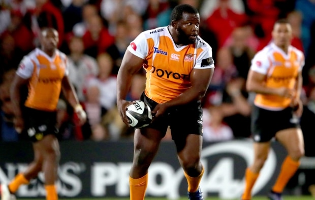 You are currently viewing Nche invited to Springbok camp