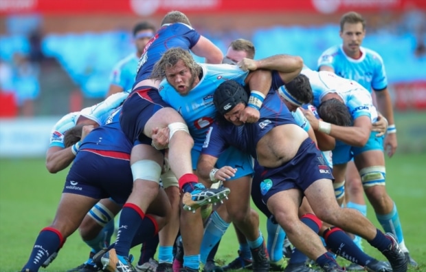 You are currently viewing Schoeman banned for biting