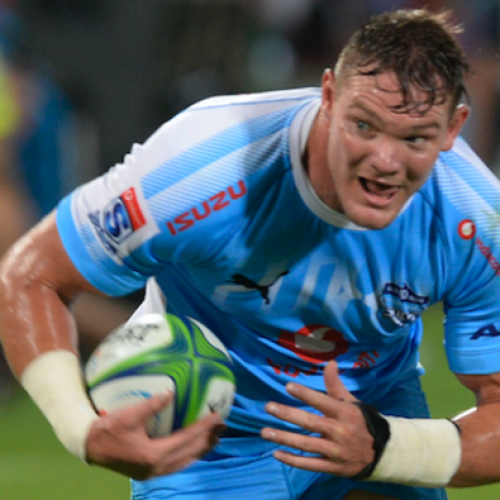 Smit starts for Bulls against Rebels