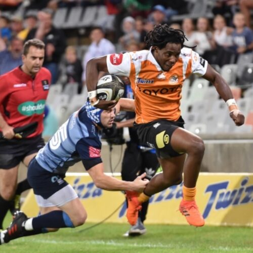 Cheetahs claim crucial victory