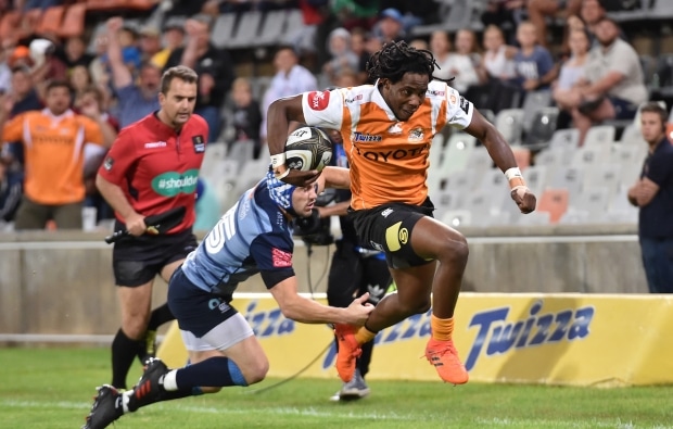 You are currently viewing Cheetahs claim crucial victory