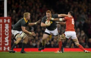 Read more about the article Springbok Test in serious doubt