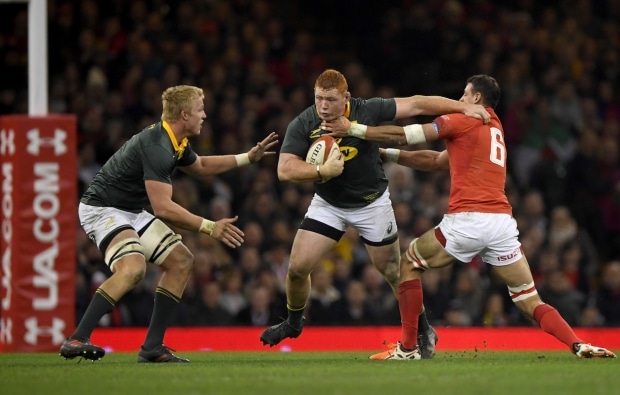 You are currently viewing Springbok Test in serious doubt
