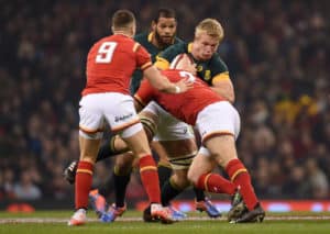 Read more about the article Preview: Springboks vs Wales