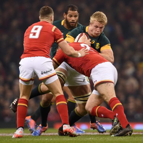 Preview: Springboks vs Wales