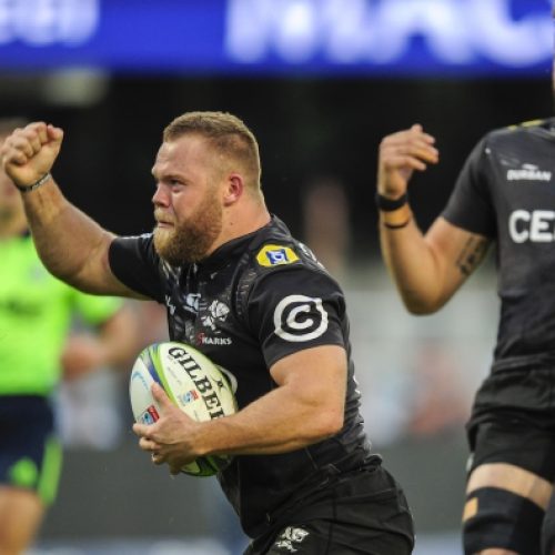 Sharks hammer Highlanders