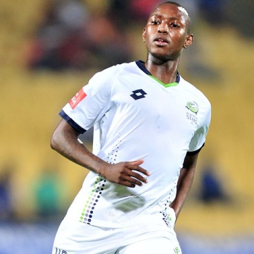 Dikwena playing for pride – Koapeng