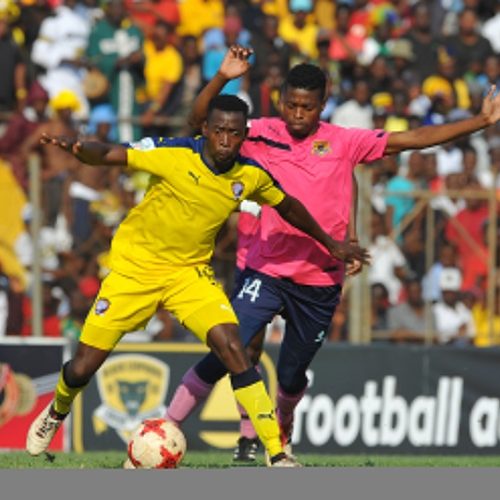 Black Leopards win promotion to Absa Prem