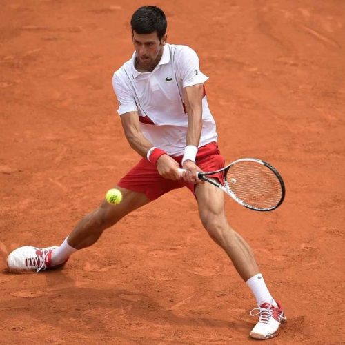 Djokovic, Zverev advance at Roland-Garros