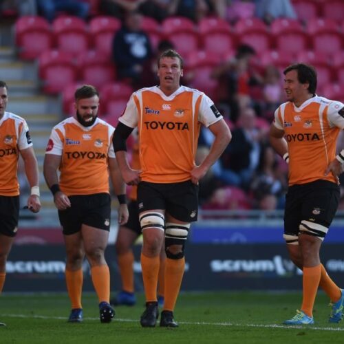 Bedford: Cheetahs treated as if ‘dispensable’