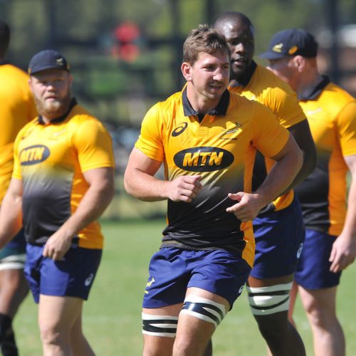New-look Springboks to face Wales