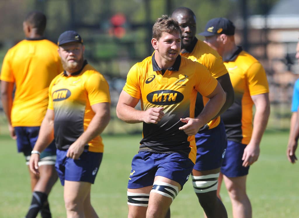 You are currently viewing New-look Springboks to face Wales