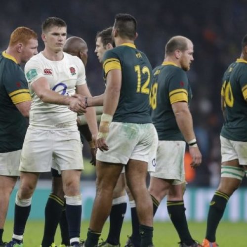 Stransky: Springboks will beat England