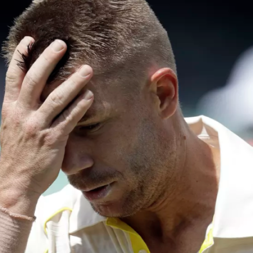 Warner to play grade cricket