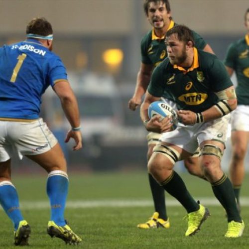 Springbok squad boasts exciting balance