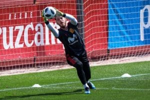 Read more about the article De Gea is a complete goalkeeper – Del Bosque