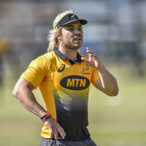 De Klerk ready to take control for Springboks