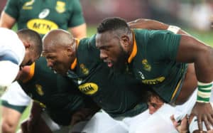 Read more about the article Preview: Springboks vs England (2nd Test)