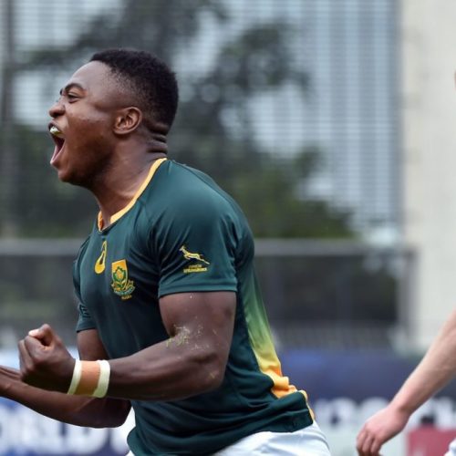 Junior Boks slay Ireland