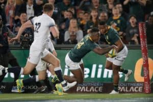 Read more about the article Brave Springboks draw first blood