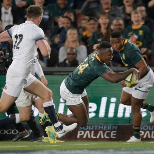 Brave Springboks draw first blood