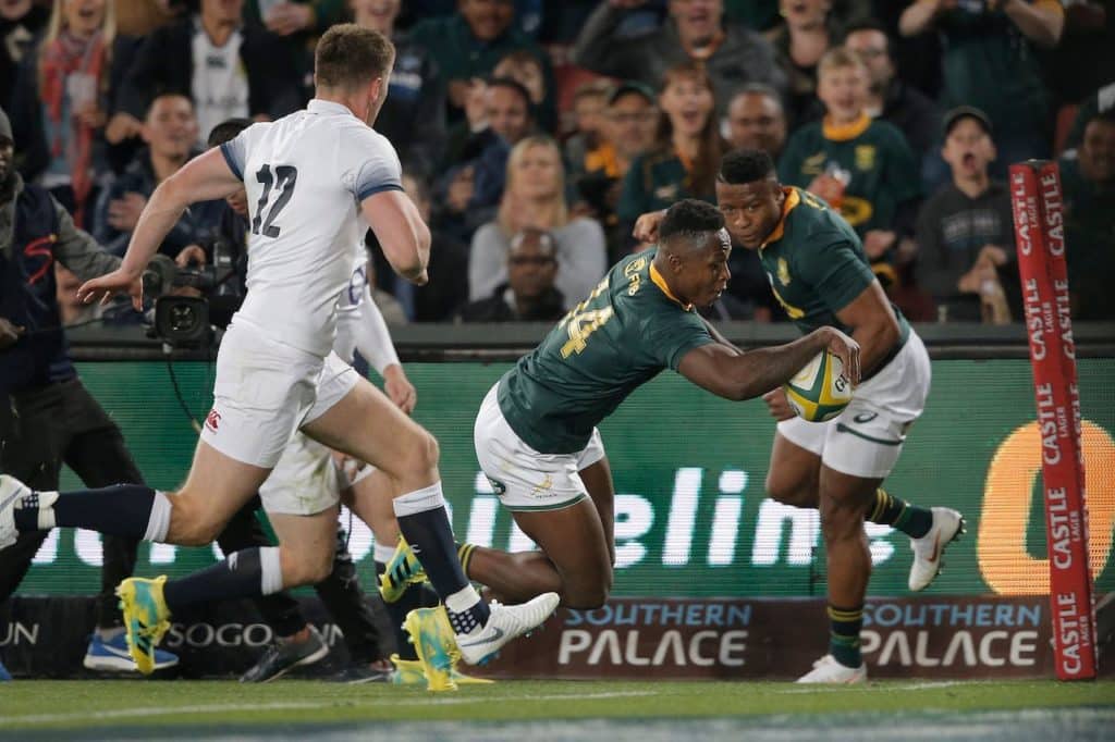 You are currently viewing Brave Springboks draw first blood
