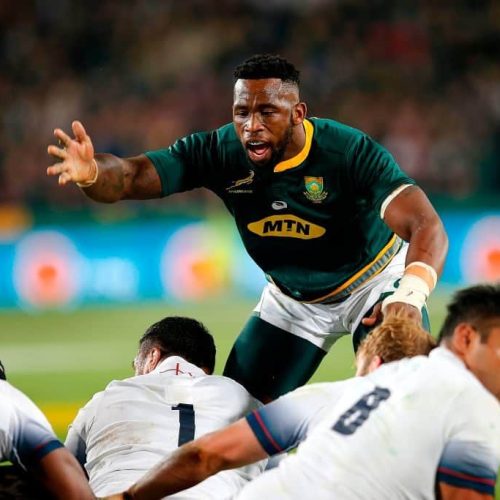 Kolisi: My game went a little bit down