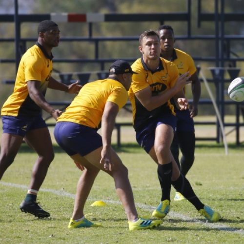 Springboks have more to offer