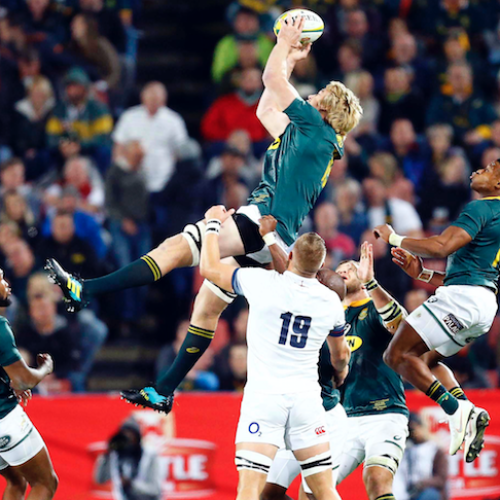 Springboks keeping options open