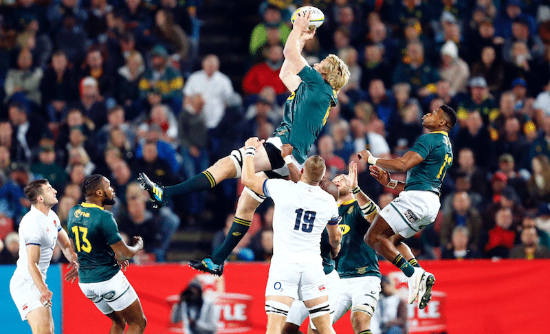 You are currently viewing Springboks keeping options open