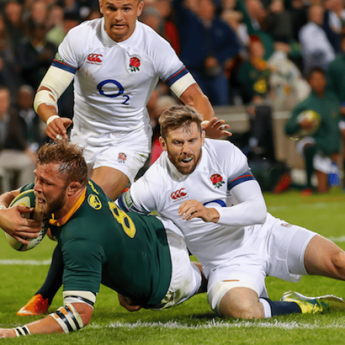 Springboks win series in style