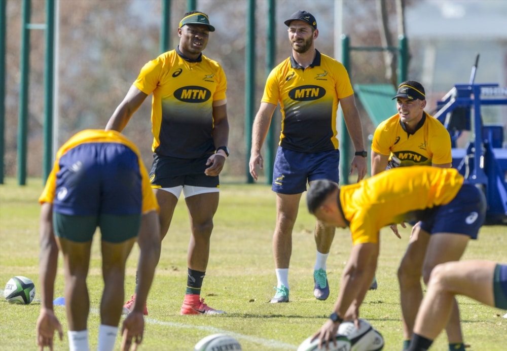 You are currently viewing New back-three for Springboks