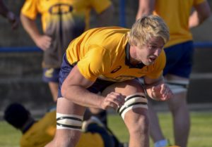Read more about the article Du Toit at flank for Springboks