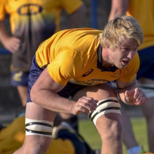 Du Toit at flank for Springboks