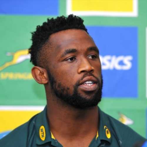 Springboks search for knockout blow