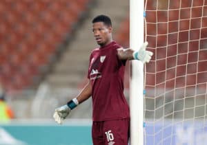Read more about the article Kaizer Chiefs snap up Vries