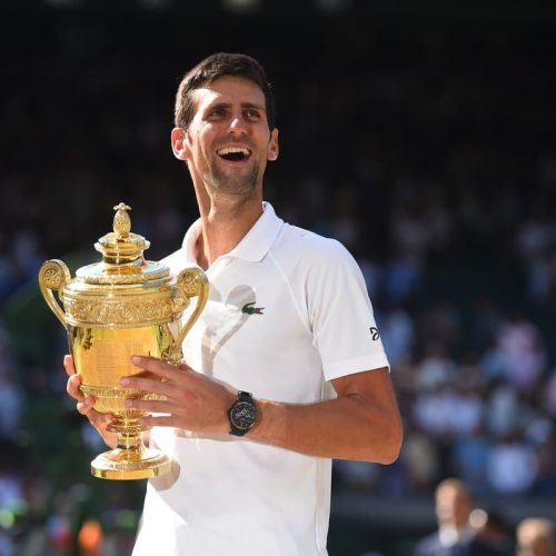 Djokovic ends Anderson’s Wimbledon dream