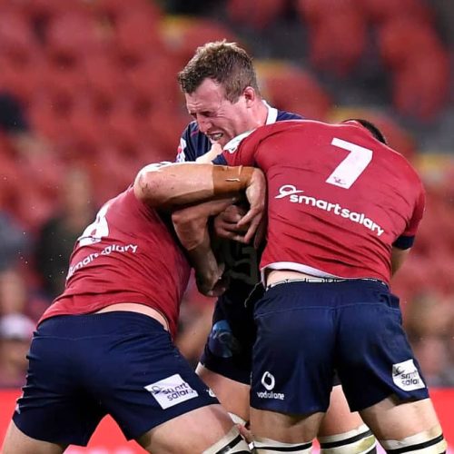 Reds outmuscle Rebels to help Sharks