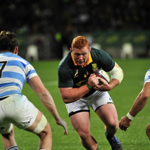 Preview: Rugby Championship