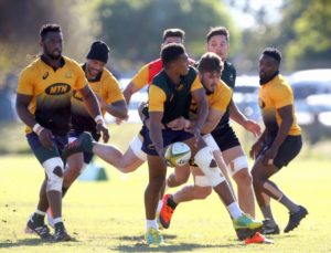 Read more about the article Kolisi: Damian offers something different